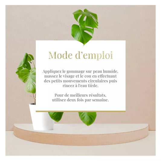 Gommage visage exfoliant et purifiant - Tous types de peaux - Aloe Vera