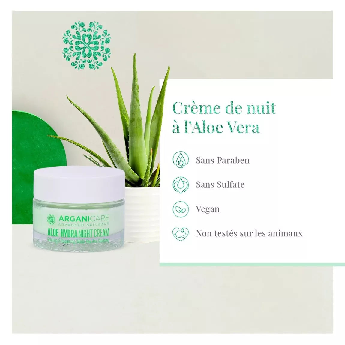 ARGANICARE Crème de nuit nourrissante et régénérante - Tous types de peaux - Aloe Vera