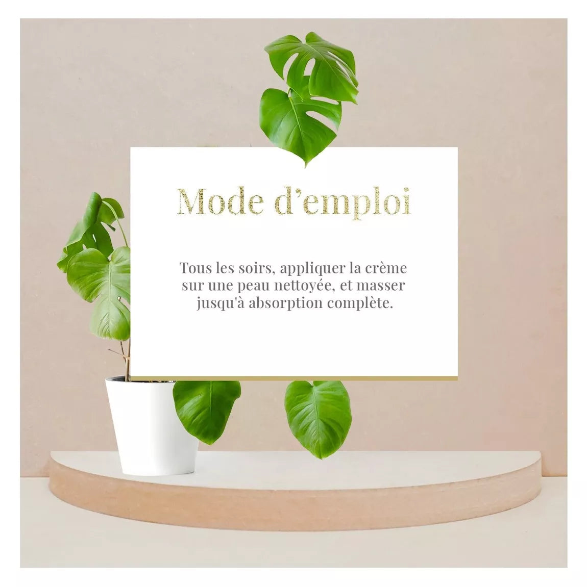 ARGANICARE Crème de nuit nourrissante et régénérante - Tous types de peaux - Aloe Vera